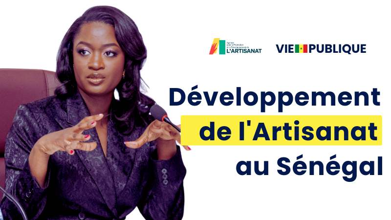 Sophie Nzinga Sy, Développement de l'Artisanat au Sénégal