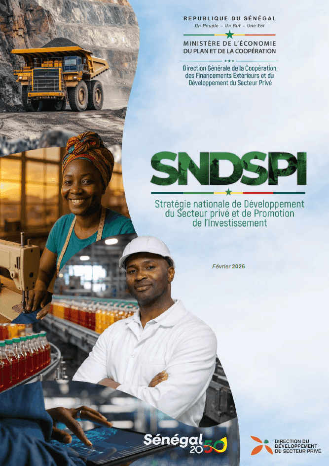 Stratégie nationale de Développement du Secteur privé et de Promotion de l’Investissement (SNDSPI)