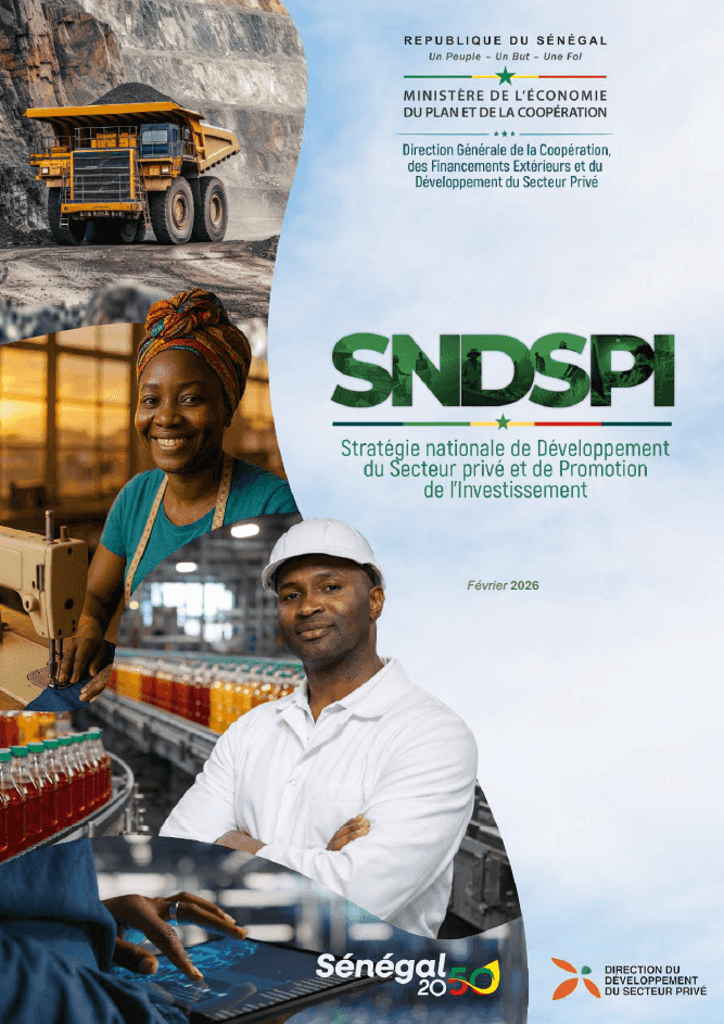 Stratégie nationale de Développement du Secteur privé et de Promotion de l’Investissement (SNDSPI)
