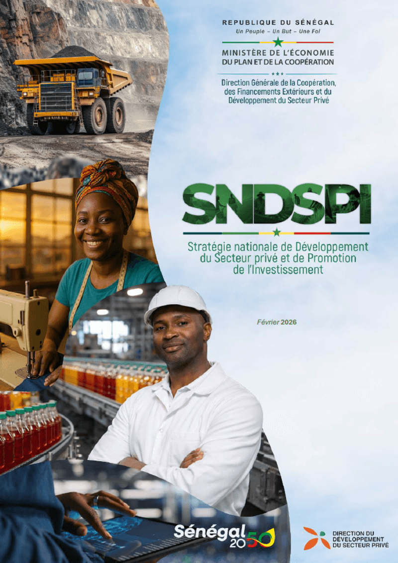 Stratégie nationale de Développement du Secteur privé et de Promotion de l’Investissement (SNDSPI)