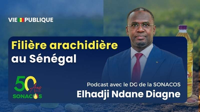 Filière arachidière au Sénégal : échanges avec le DG de la SONACOS Elhadji Ndane Diagne