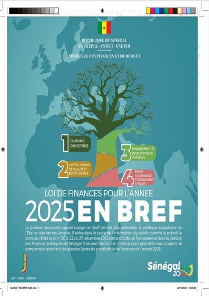 Loi de Finances pour l’année 2025 en BREF