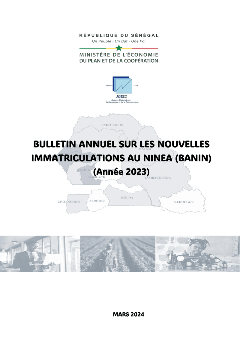 Bulletin annuel sur les nouvelles immatriculations au Numéro d’Identification national des Entrepris