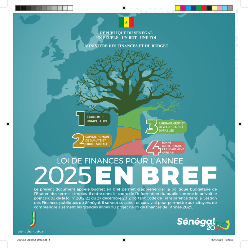 Budget en bref 2025 - projet de loi de finances initiale pour l’année 2025 