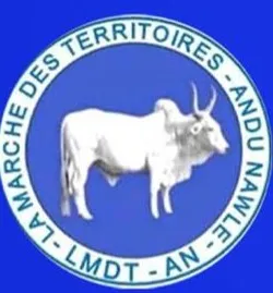 ANDU NAWLE